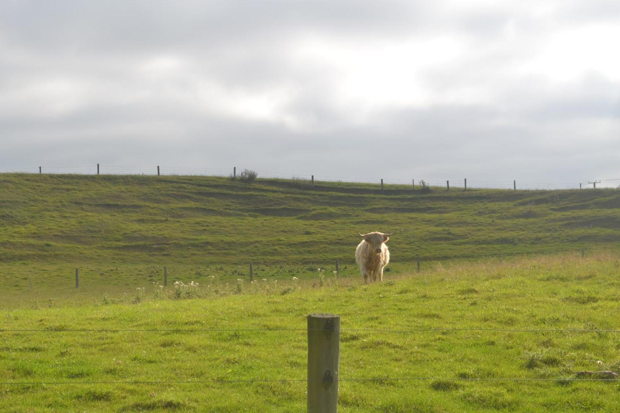 Highlands On Homestead Oamaru Exterior foto